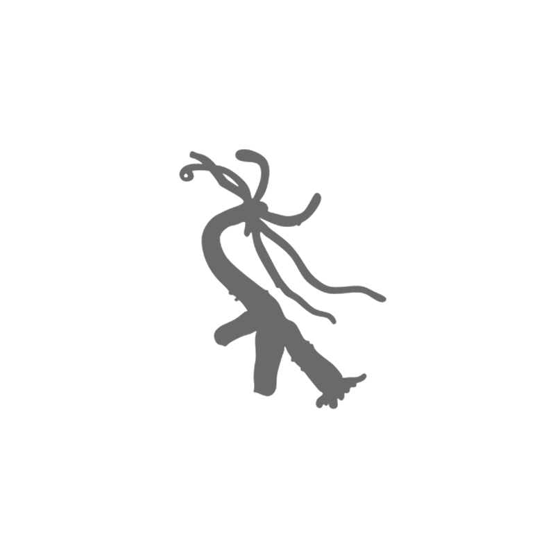 Hydralab